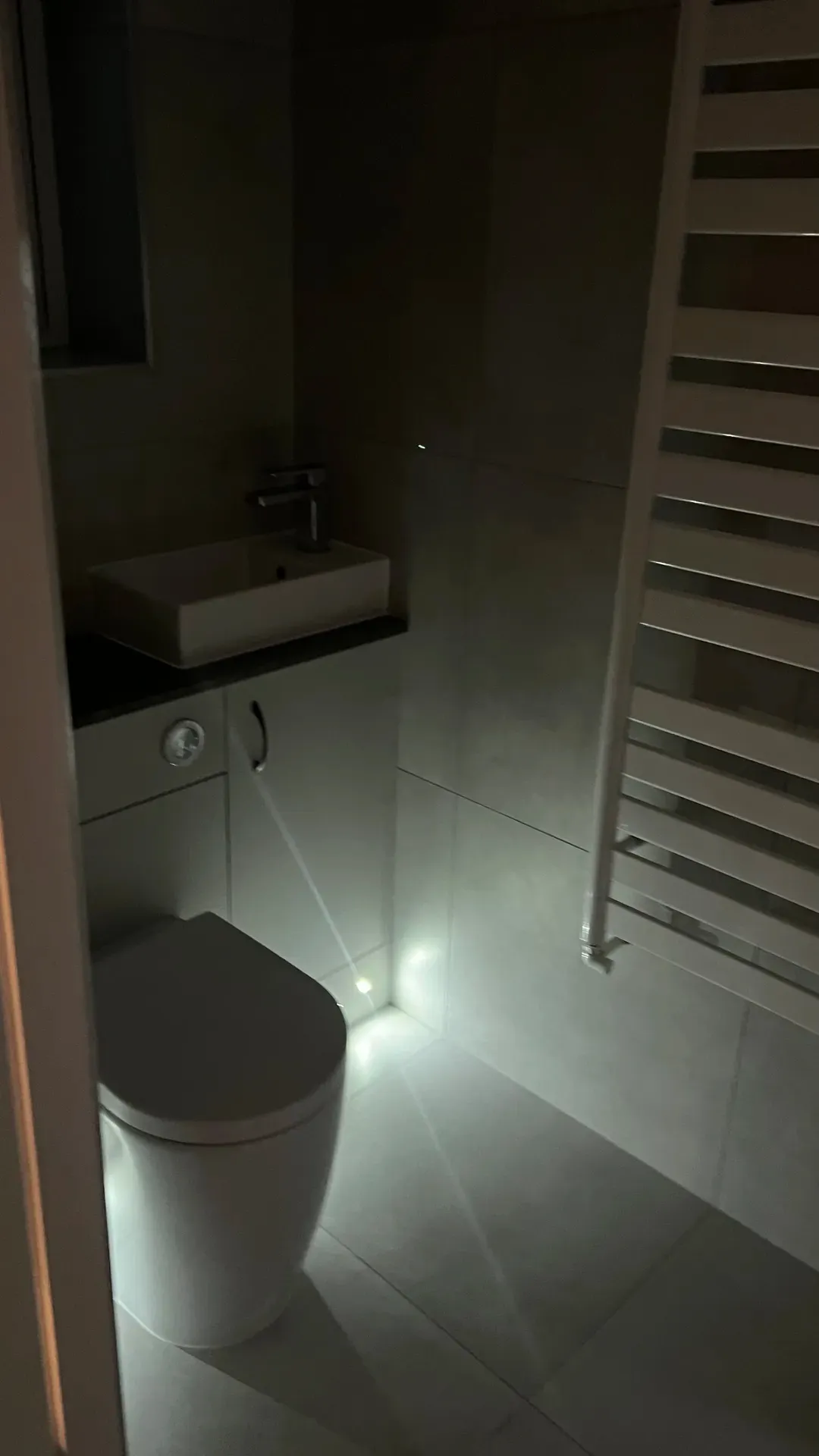 Wall-hung basin and toilet in a dark-tiled cloakroom with a ladder towel radiator